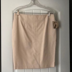 NWT Blush pink skirt by Paraphrase. Zips in back. 97% cotton/ 93% spandex.